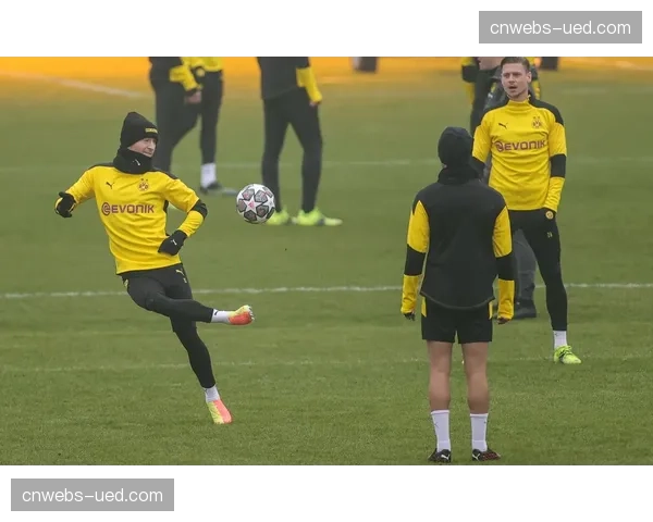 多特蒙德俱乐部基金会启动2026年度“足球反对种族主义”校园项目